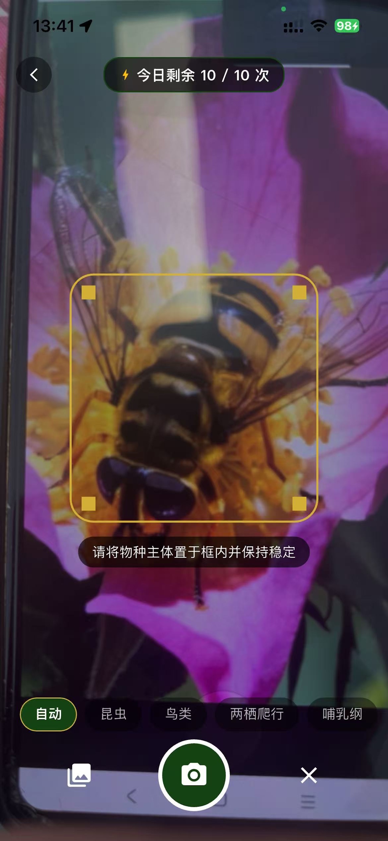 原野志AI智能识别界面