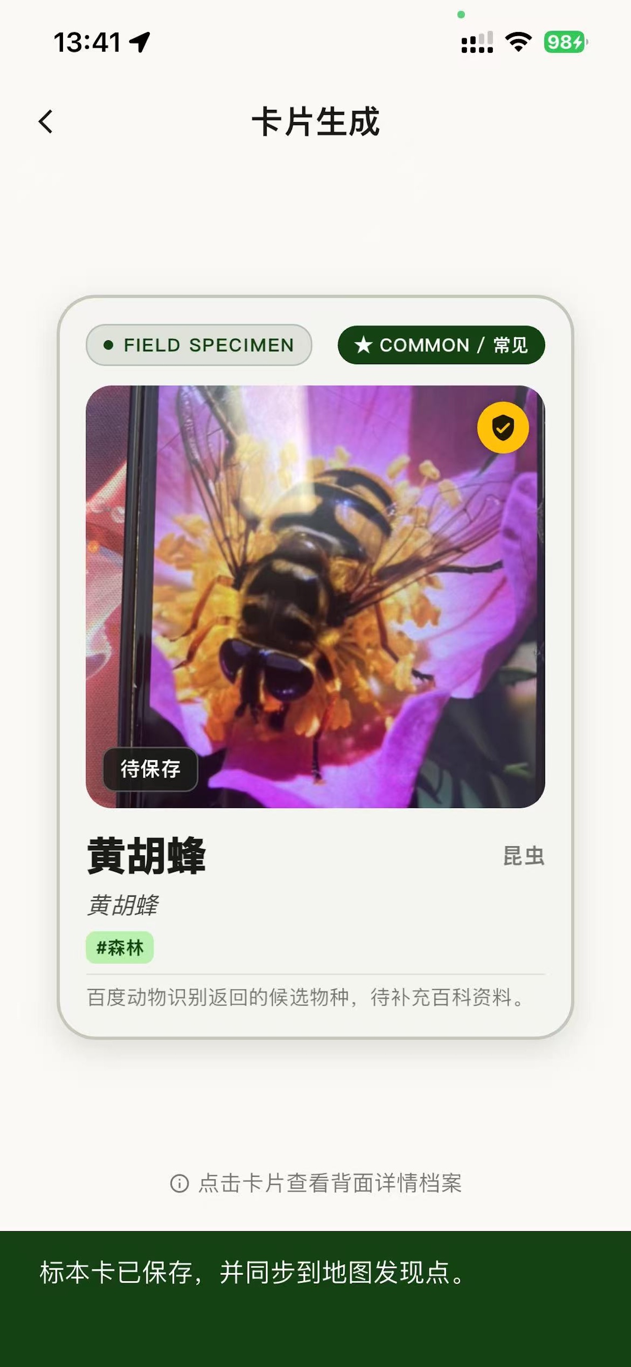 成就勋章体系